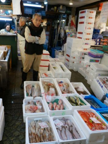 Tsukiji Fish Market - 4